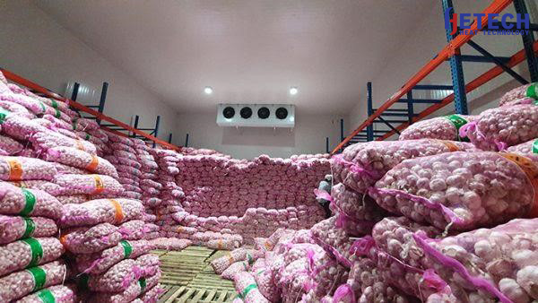 lắp đặt kho lạnh bảo quản nông sản tại Hà Nội